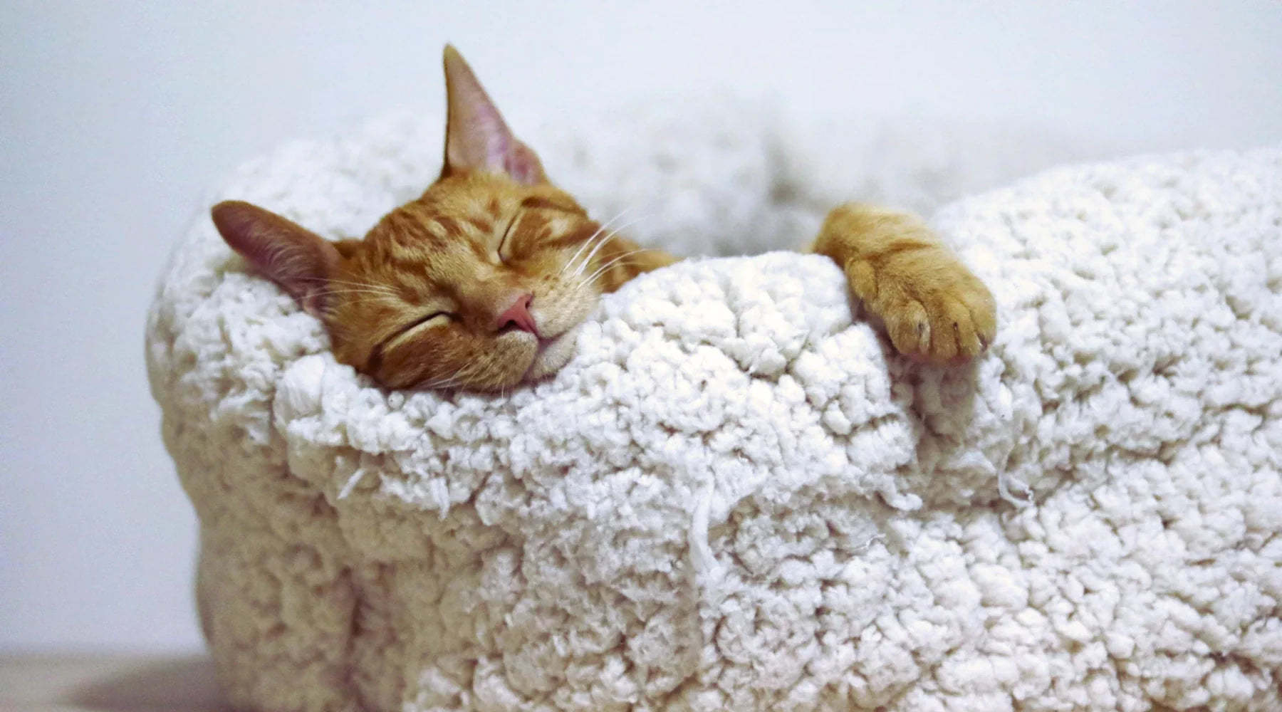 Menstrual Insomnia Explained — and How to Finally Rest